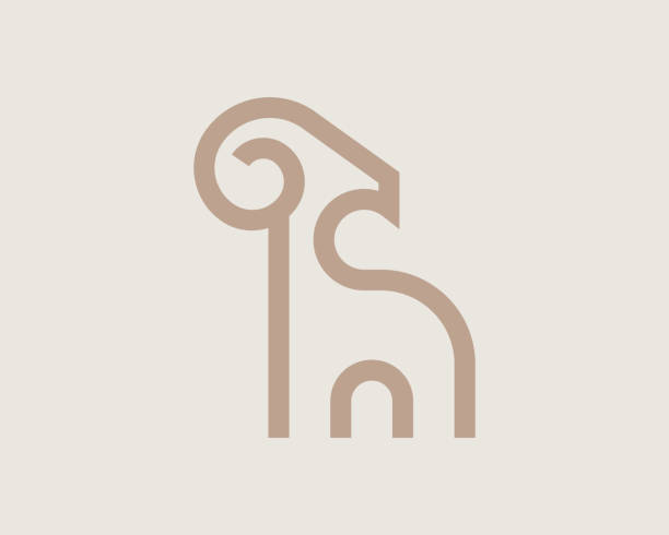 プレミアムラムベクター画像ロゴ。線形ヤギのサイン。クリエイティブグリルレストランのロゴタイプ。ベクターイラスト - ram bighorn sheep animal head animal themes点のイラスト素材／クリップアート素材／マンガ素材／アイコン素材