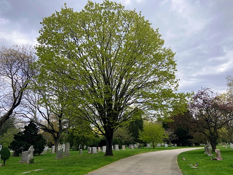 Swan Point Cemetery in Providence, Rhode Island