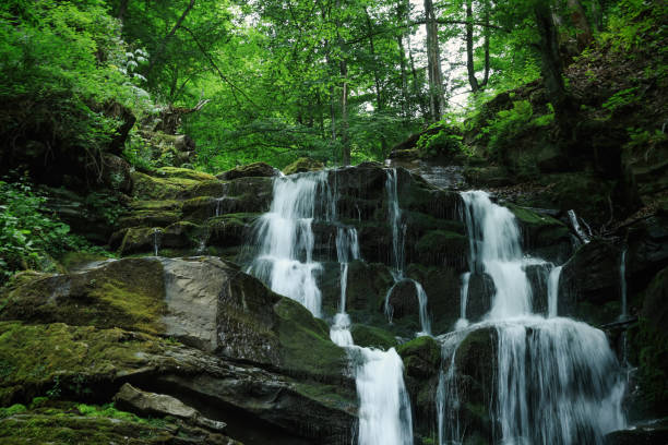 istock Picturesque view of waterfall and rocks in forest 1485227603