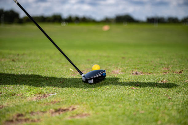 istock Practicing in a golf court with a yellow ball 1485228556