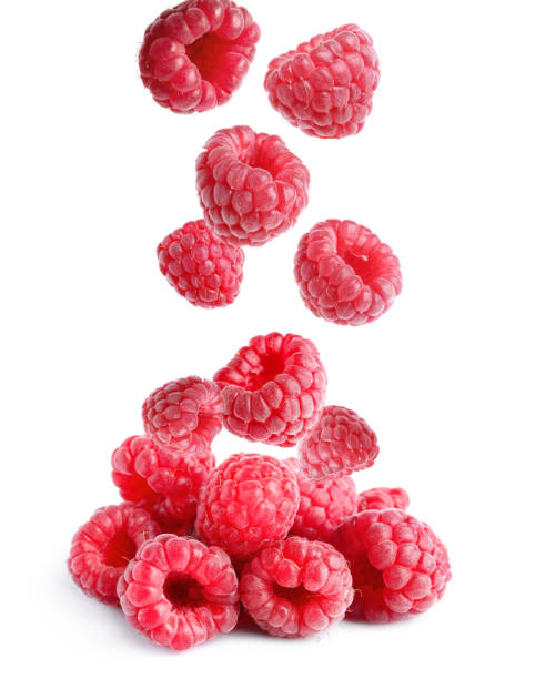 istock Delicious ripe raspberries falling on white background 1485228702