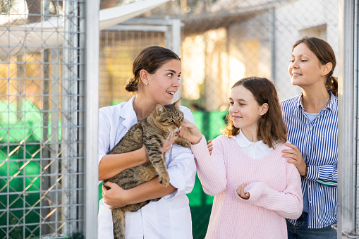 Smiling young female owner of shelter for abandoned animals holding gray tabby cat while standing near outdoor cages with preteen girl and her mother deciding to adopt pet