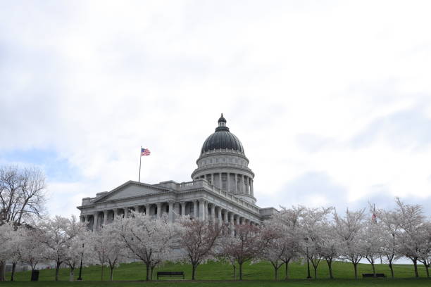 istock Cherry blossoms season 1485234658
