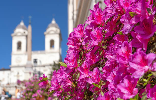 istock Azaleas at the Spanish Steps, Rome Italy 1485236160