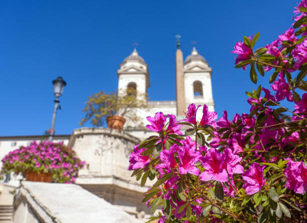 istock Azaleas at the Spanish Steps, Rome Italy 1485239436
