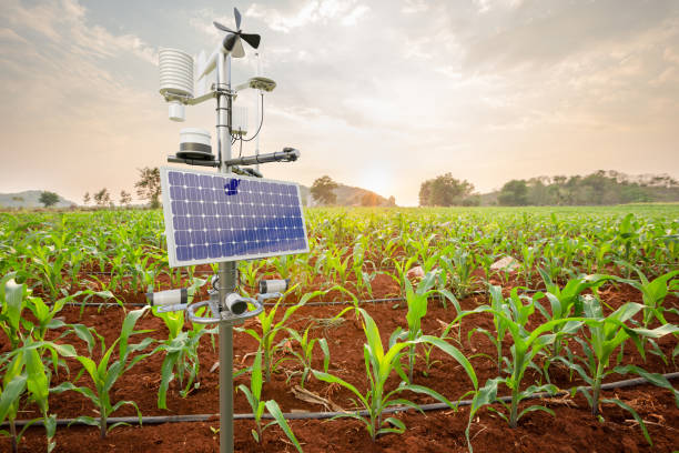 istock Weather station in corn field, 5G technology with smart farming concept 1485241793