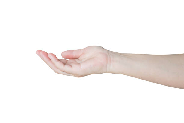 istock Woman hand gesture holding something isolated on white background 1485248243