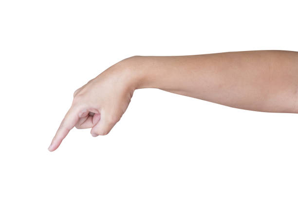 istock man hand touching or pointing to something isolated on white background 1485248324