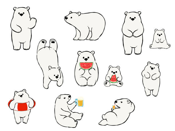 illustrationsset von eisbären, die den sommer genießen - eisbär stock-grafiken, -clipart, -cartoons und -symbole