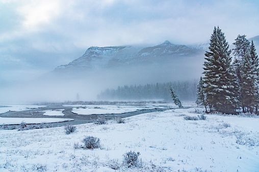 Scenic view on foggy, snowy morning in the Yellowstone Ecosystem in western USA. near Gardiner, Cooke City, Bozeman and Billings, Montana.