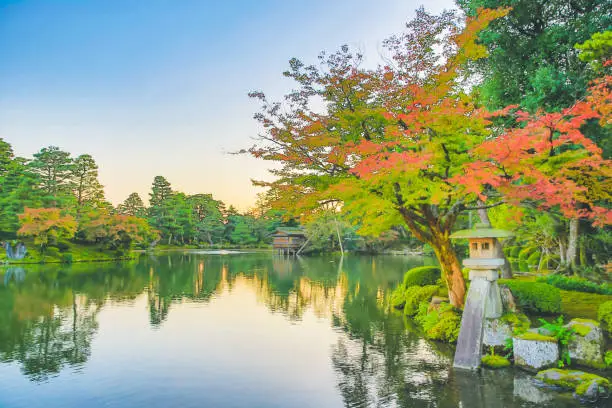 Photo of a Kasumiga ike Pond Kenrokuen Kana zawa 1 Nov 2013