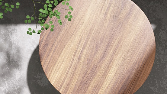 Modern, minimal teak wood round smooth beautiful grain podium table, green tropical tree in sunlight, leaf shadow on blank concrete floor