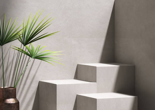 istock Three square geometric design step concrete podium, palm tree in sunlight, shadow on gray cement corner loft wall 1485277678