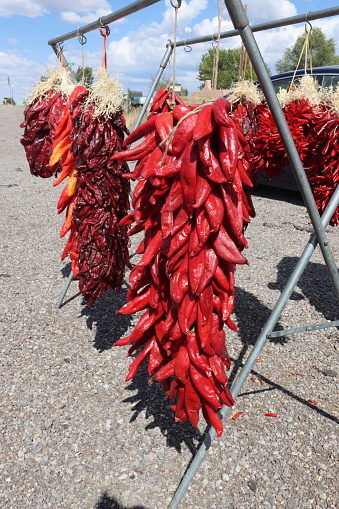 Red chili pepper hanging up to dry found in New Mexico