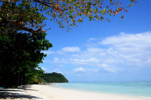 istock Koh Rok (Rok Island) is a small archipelago in southern Thailand 1485288033