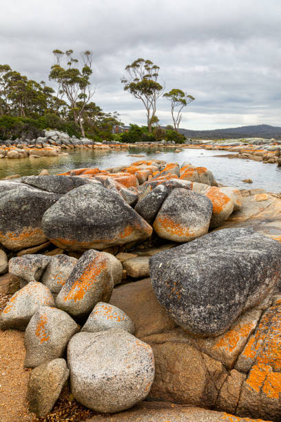 istock Binalong Bay, Tasmania, Australia 1485289616