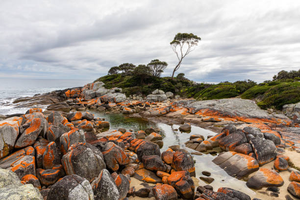 istock Binalong Bay, Tasmania, Australia 1485289620