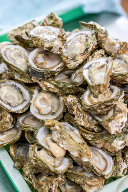 close-up of a plate of plump fresh oysters - pacific oyster imagens e fotografias de stock