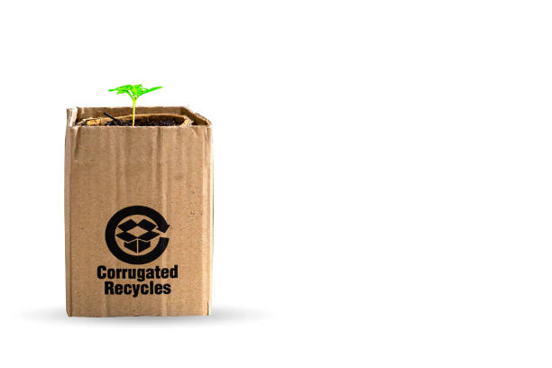 istock Reuse corrugated recycles plant pot. 1485294971