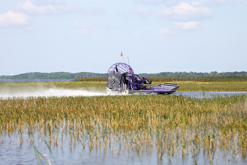An airboat on the wetland at Lake Tohopekaliga near Orlando, Florida