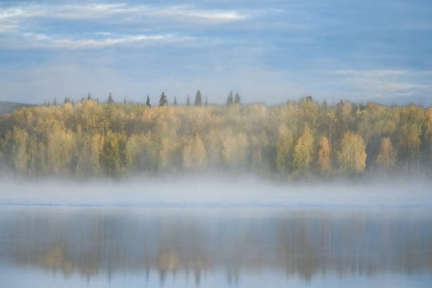 Yukon in Canada, wild landscape in autumn of the Tombstone park, reflection of the trees in a lake