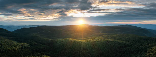 Sunrise Above Green Forest