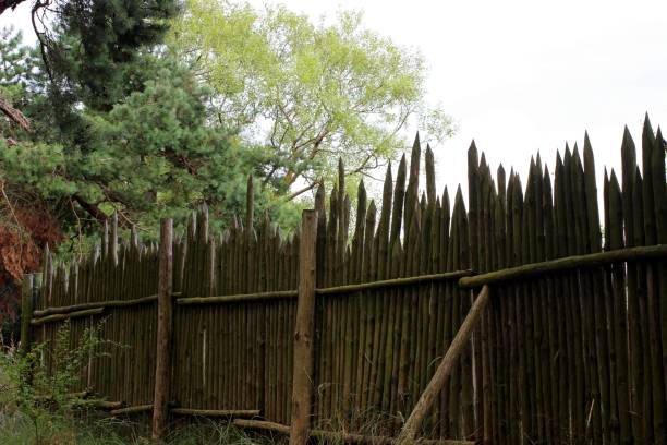 istock fence made of sharp wooden posts for protection 1485313385