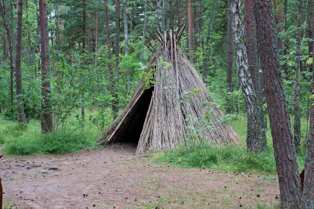 istock hut in the forest 1485313424