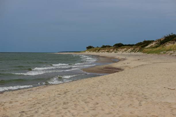 istock Seashore, sand dunes soft sunlight, clear sky idyllic seascape 1485313473