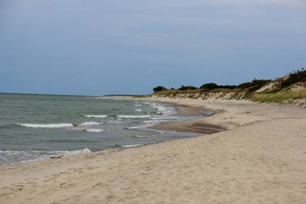 istock Seashore, sand dunes soft sunlight, clear sky idyllic seascape 1485313483