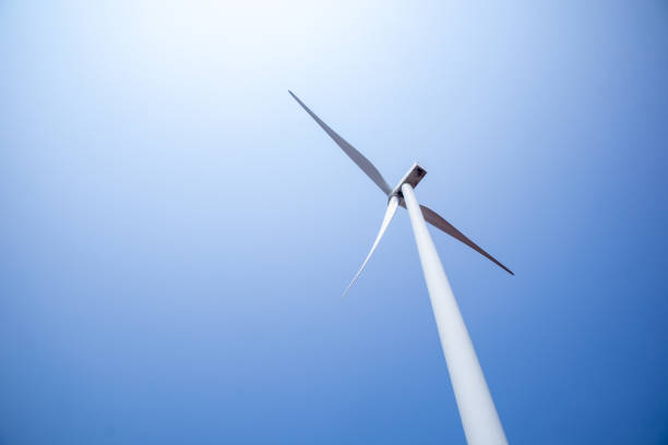 istock Wind turbines for electricity generation, green and sustainable concepts 1485315566