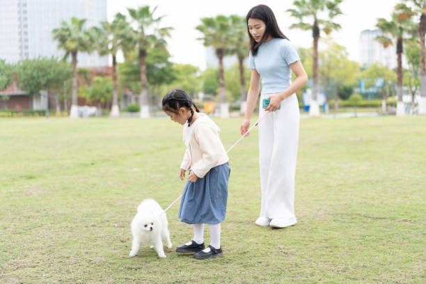 istock Young woman playing with pets in park 1485316587