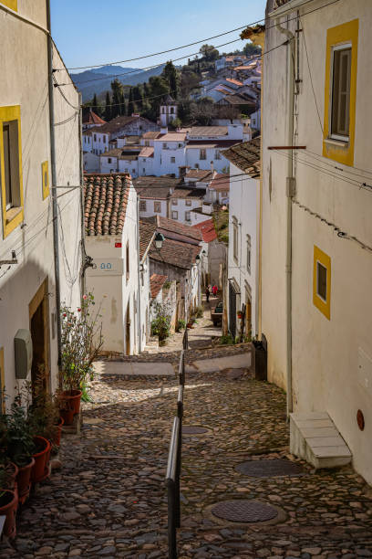 istock Castelo de Vide cobbled street view from the stairs 1485318949