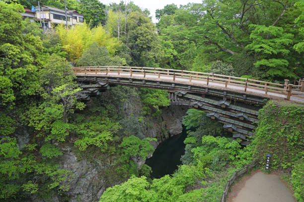 istock Saruhashi Bridge 1485321260