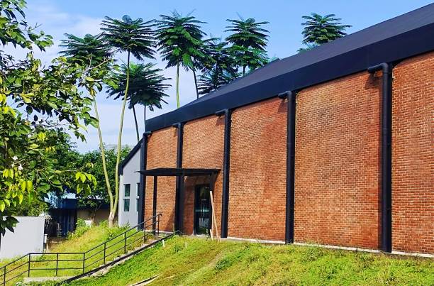 istock red brick building with palm trees in the background 1485323130