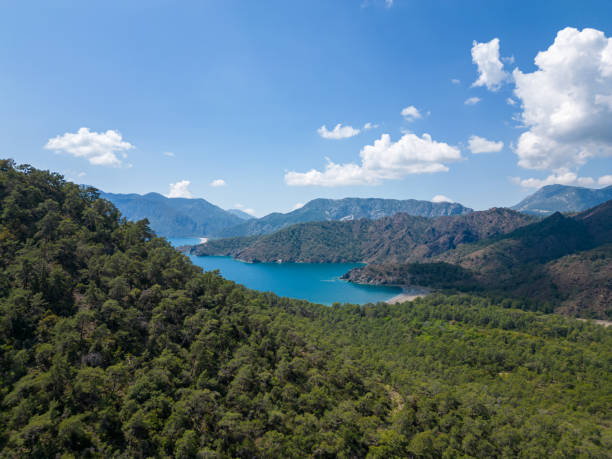 istock Mountain and natural heart-shaped coast view, mountain range, covered with pine forests. 1485331712