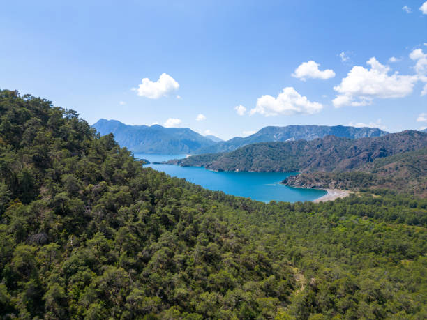 istock Mountain and natural heart-shaped coast view, mountain range, covered with pine forests. 1485331840