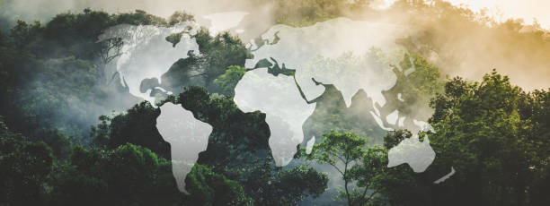 istock Earth day eco concept with tropical forest tree background, natural forestation preservation scene with global sustainability energy and green environmental renewable development, planet ecosystem 1485332950