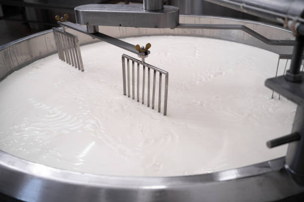 istock Cheese making process. Freshly fermented milk on during production process at dairy factory. 1485333670