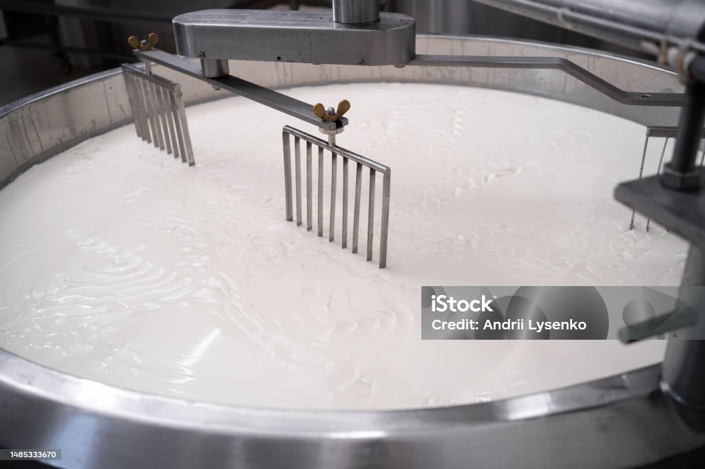 Cheesemaking Process Cheese Making Process Freshly Fermented Milk On During Production ...