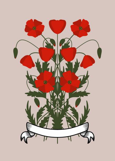 symetryczny bukiet maków z liśćmi i pąkami oraz wstążką heraldyczną u dołu, na beżowym tle - herb flower head flower wildflower stock illustrations