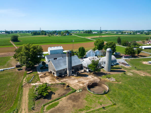 istock Aerial View of Farm Surrounded by Fields 1485335381