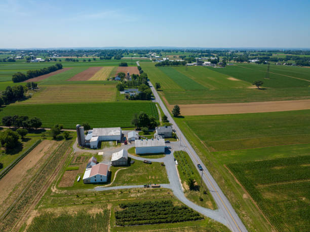 istock Aerial View of Farm Surrounded by Fields 1485336393