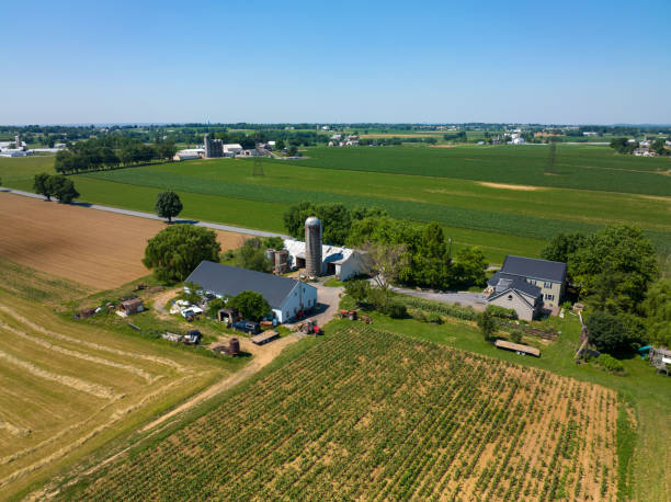 istock Aerial View of Farm Surrounded by Fields 1485336450