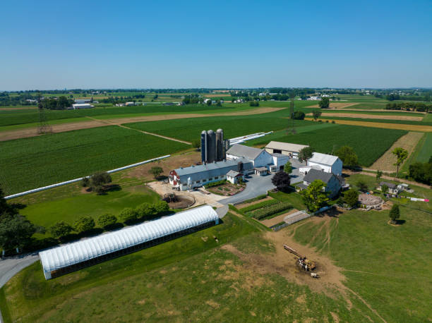 istock Aerial View of Farm Surrounded by Fields 1485336564