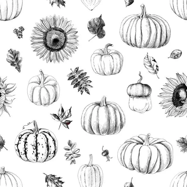 Vector illustration of Seamless pattern with pumpkins and sunflowers