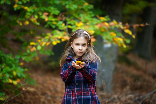 Lovely little girl enjoys the beauty of an  autumn forest playing with colorful leaves. Autumn mood.