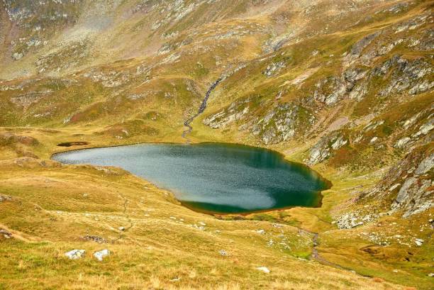 istock Beautiful view of Capra Lake surrounded by mountains. Romania. 1485340121