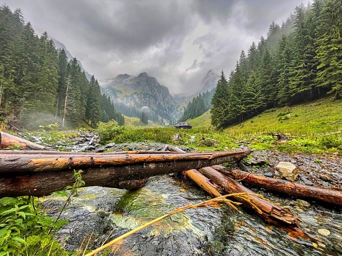The beautiful view of a river and lush pine forests with Fagaras mountains in the background. Romania.