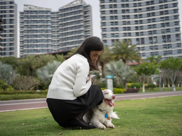 istock woman resting with dog on grass 1485340815
